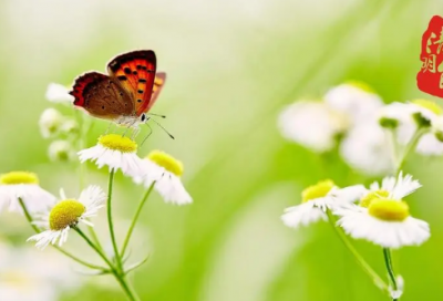 ​谜语大全大全全集3011个