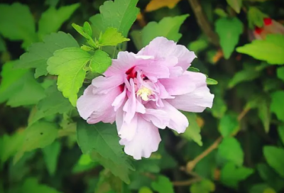 ​小学生谜语大全及答案3021个