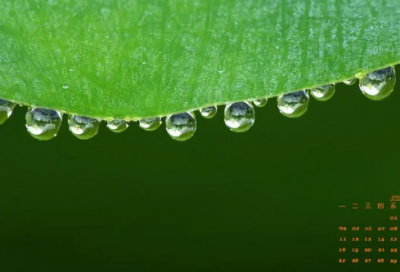 ​儿童谜语3019个