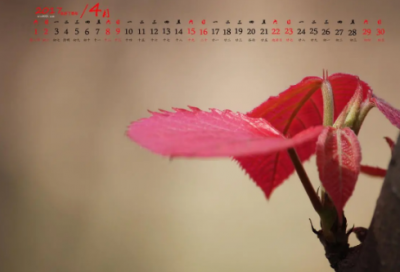 ​儿童谜语3020个