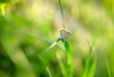 ​谜语大全儿童3到6岁大全全集3007个