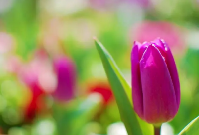 ​儿童谜语大全6一8岁3012个