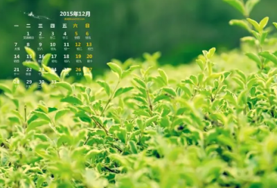 ​谜语大全及答案100个复杂的