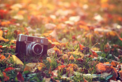 ​小学生谜语大全及答案3011个