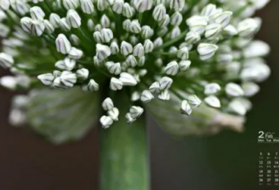 ​谜语大全及答案3006个