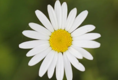 ​最难字谜语大全及答案3005个