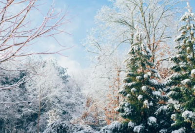 ​谜语大全及答案3000个