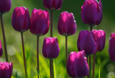 ​一年级谜语大全及答案3021个