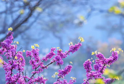 ​最容易想歪的谜语202个含答案