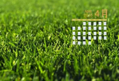 ​谜语大全及答案3011个