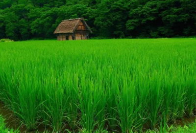 ​儿童谜语大全6一8岁3017个