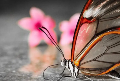 ​一年级谜语大全及答案3023个