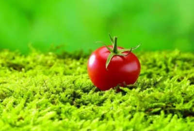 ​猜字谜语大全及答案3003个