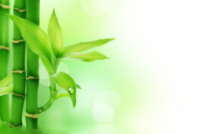 ​谜语大全儿童3到6岁简单3000个