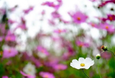 ​小学生谜语大全及答案3024个