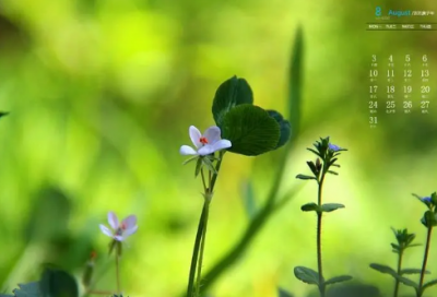 ​谜语大全及答案3012个