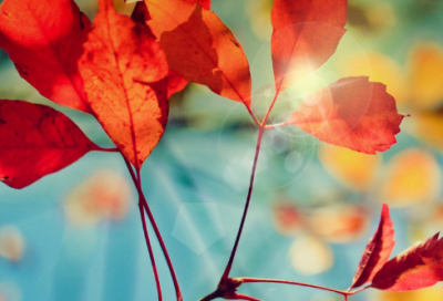 ​《将进酒》教学设计一等奖