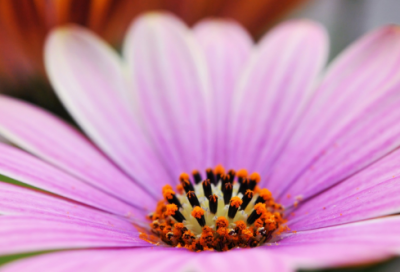 ​隐患排查治理方案（通用20篇）