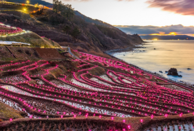 ​《观沧海》教学设计一等奖