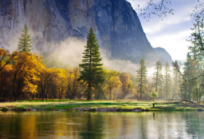 ​安全生产月活动策划方案（通用21篇）