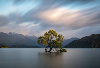 ​大班科学教案及教学反思（精选26篇）