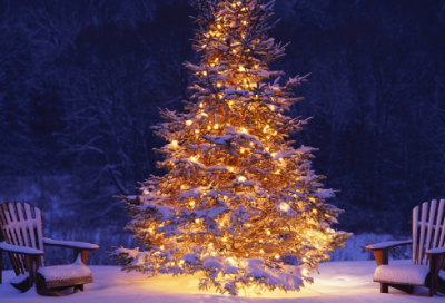 ​说课的基本步骤