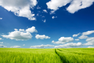 ​小学生三年级的音乐教学计划