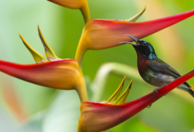 ​应急预案演练方案（精选20篇）