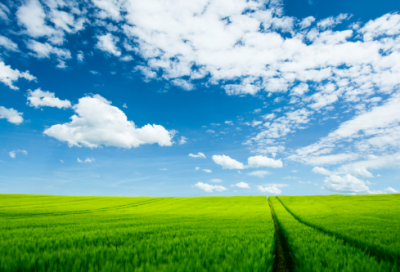 ​四年级科学下册教学计划