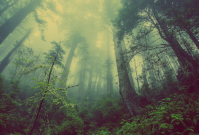 ​儿童谜语大全7一9岁简单3032个