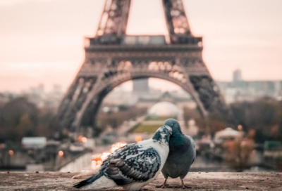 ​幼儿谜语超难3017个