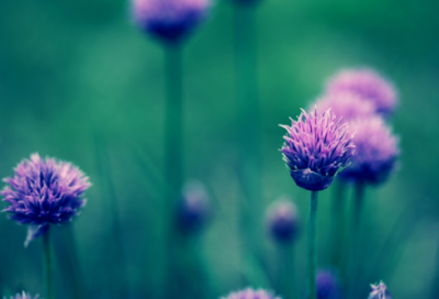 ​一年级谜语复杂的3010个