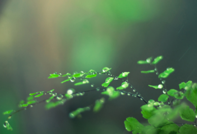 ​6岁儿童谜语大全幼童3049个