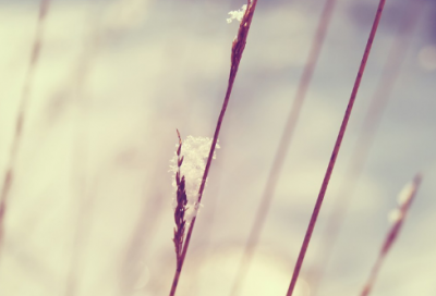 ​6岁儿童谜语大全有趣3025个