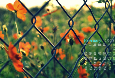 ​谜语大全及答案幼童3017个