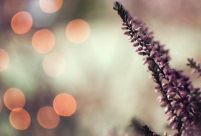 ​儿童谜语大全6一8岁合集3028个