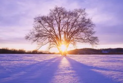 ​小学生谜语大全及答案合集3020个