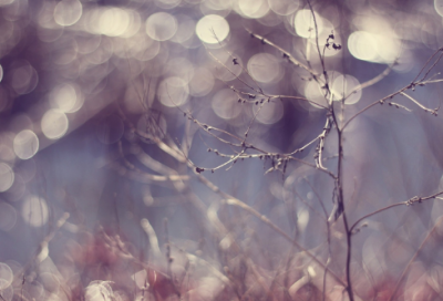 ​幼儿园谜语包含答案3021个