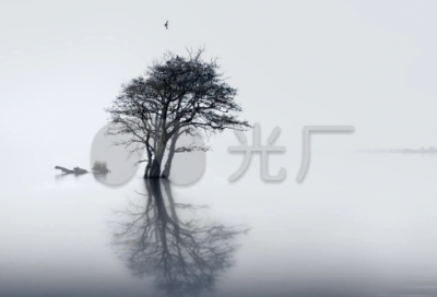 ​少儿谜语大全复杂的3011个