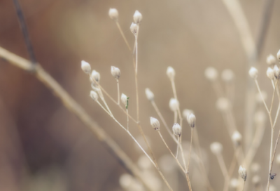 ​幼儿园谜语最难的3033个