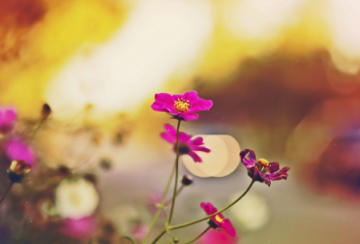 ​最难字谜语大全及答案最难3021个