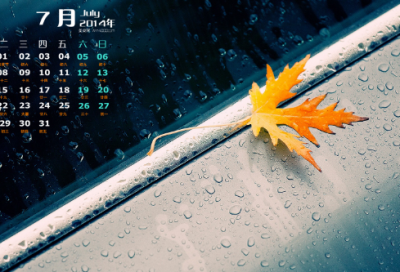 ​简单谜语幼儿3029个