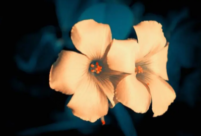 ​儿童谜语大全8一10岁经典3004个