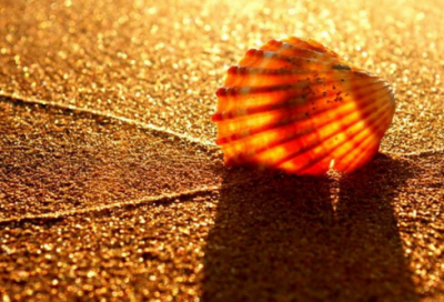 ​最难字谜语大全及答案大全优选3033个