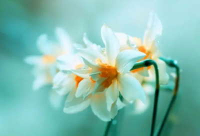 ​高难度谜语大全及答案超难的3020个