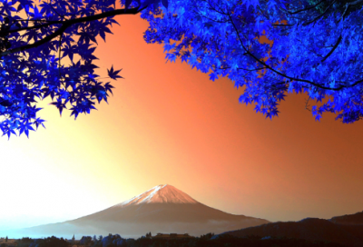 ​一年级谜语大全优选3030个