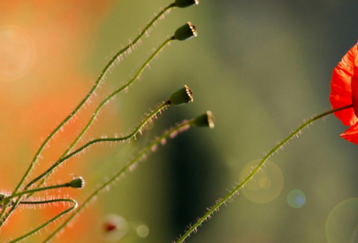 ​最难字谜语大全及答案沙雕3026个