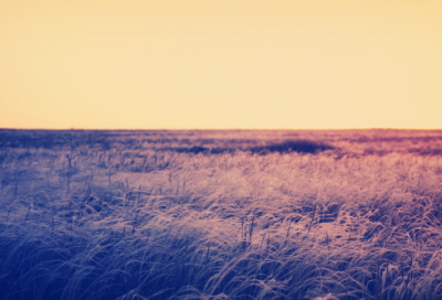 ​一年级谜语大全及答案锦集3022个