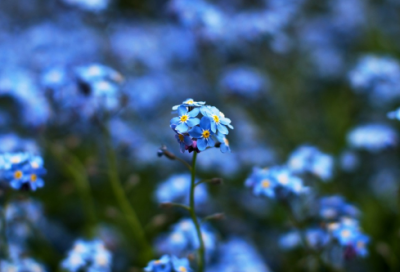 ​谜语大全儿童10岁最新3025个