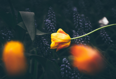 ​儿童谜语大全7一9岁最新3020个